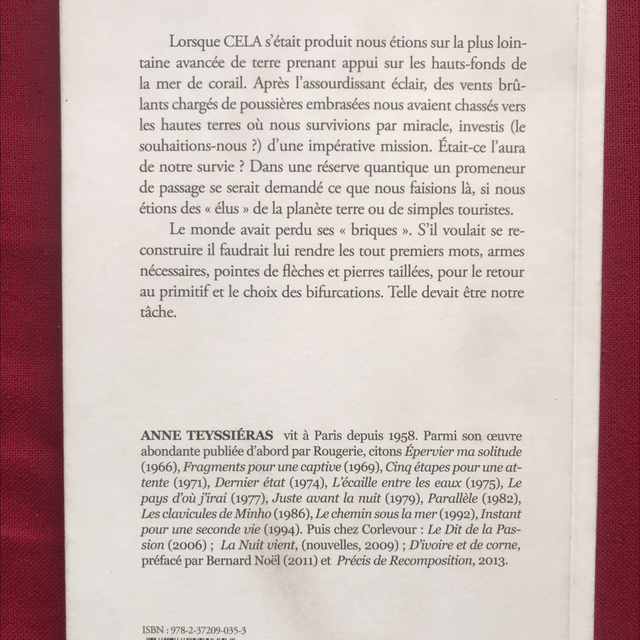 TEYSSIÉRAS Anne - Un présent sans mémoire 