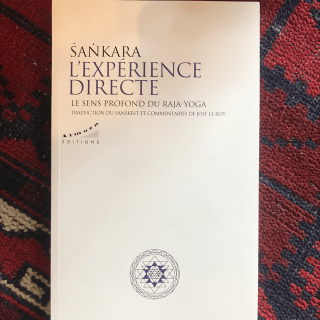 SANKARA - L’Expérience directe, Le sens profond du Raja-Yoga