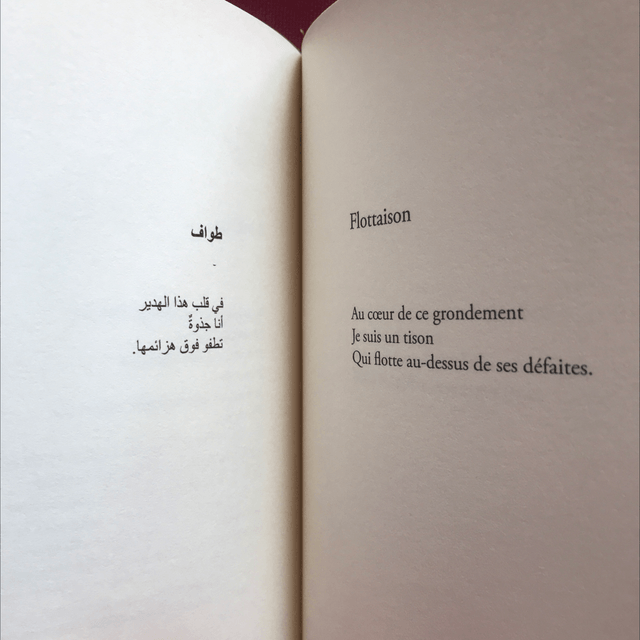 SAEID Abrar - Une branche dans les flots