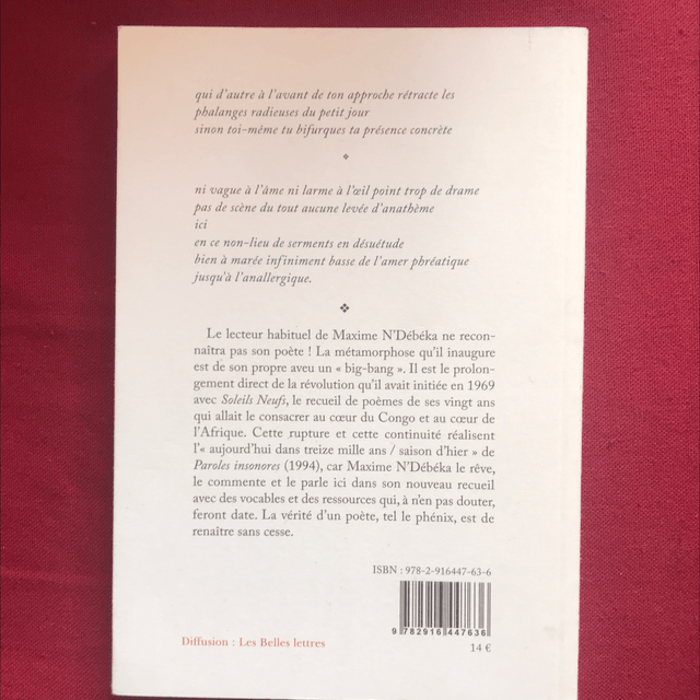 N’DEBEKA Maxime - Toi, le possible chimérique suivi de Les divagations de rêveur insomniaque 