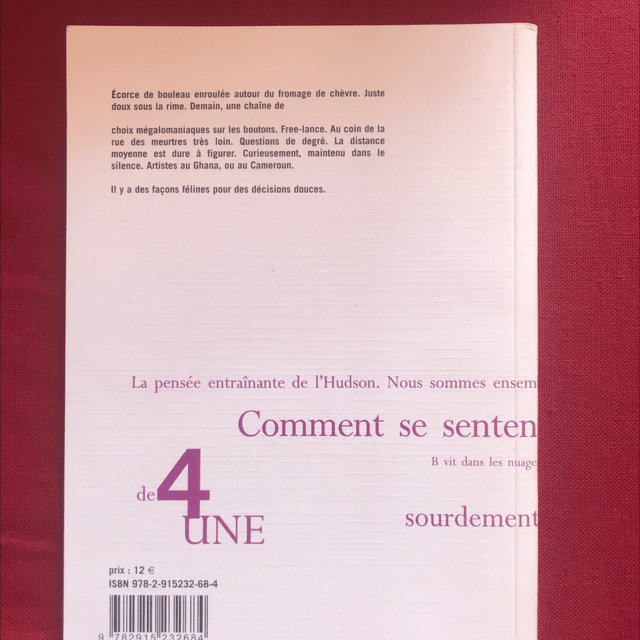 RIGGS Sarah - chaînetière des décisions minuscules dans la forme d’une sensation 