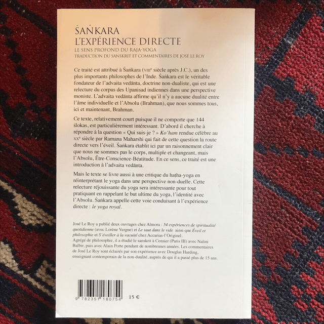 SANKARA - L’Expérience directe, Le sens profond du Raja-Yoga